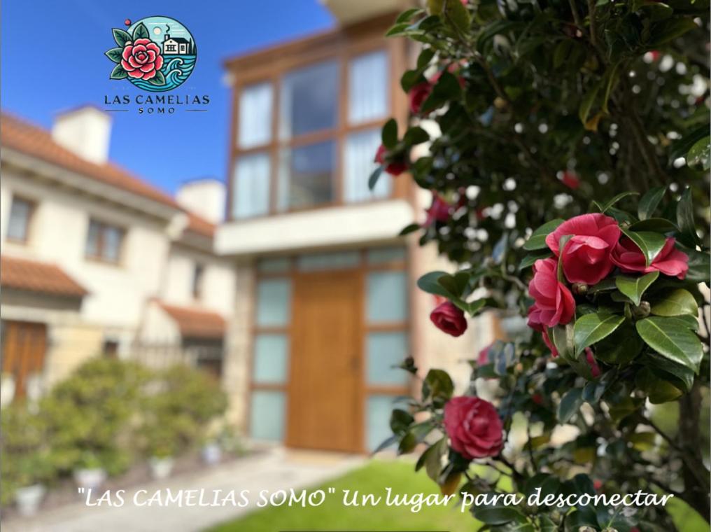 "Las Camelias Somo" Un Lugar Para Desconectar!! Vistas Al Mar!! Экстерьер фото